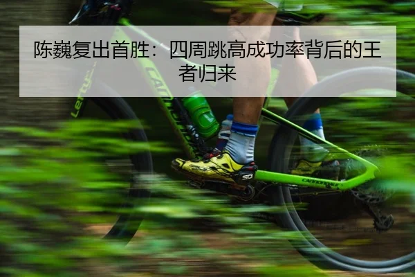chen-wei-fu-chu-shou-sheng-si-zhou-tiao-gao-cheng-gong-lv-bei-hou-de-wang-zhe-gui-lai-2-435.jpg